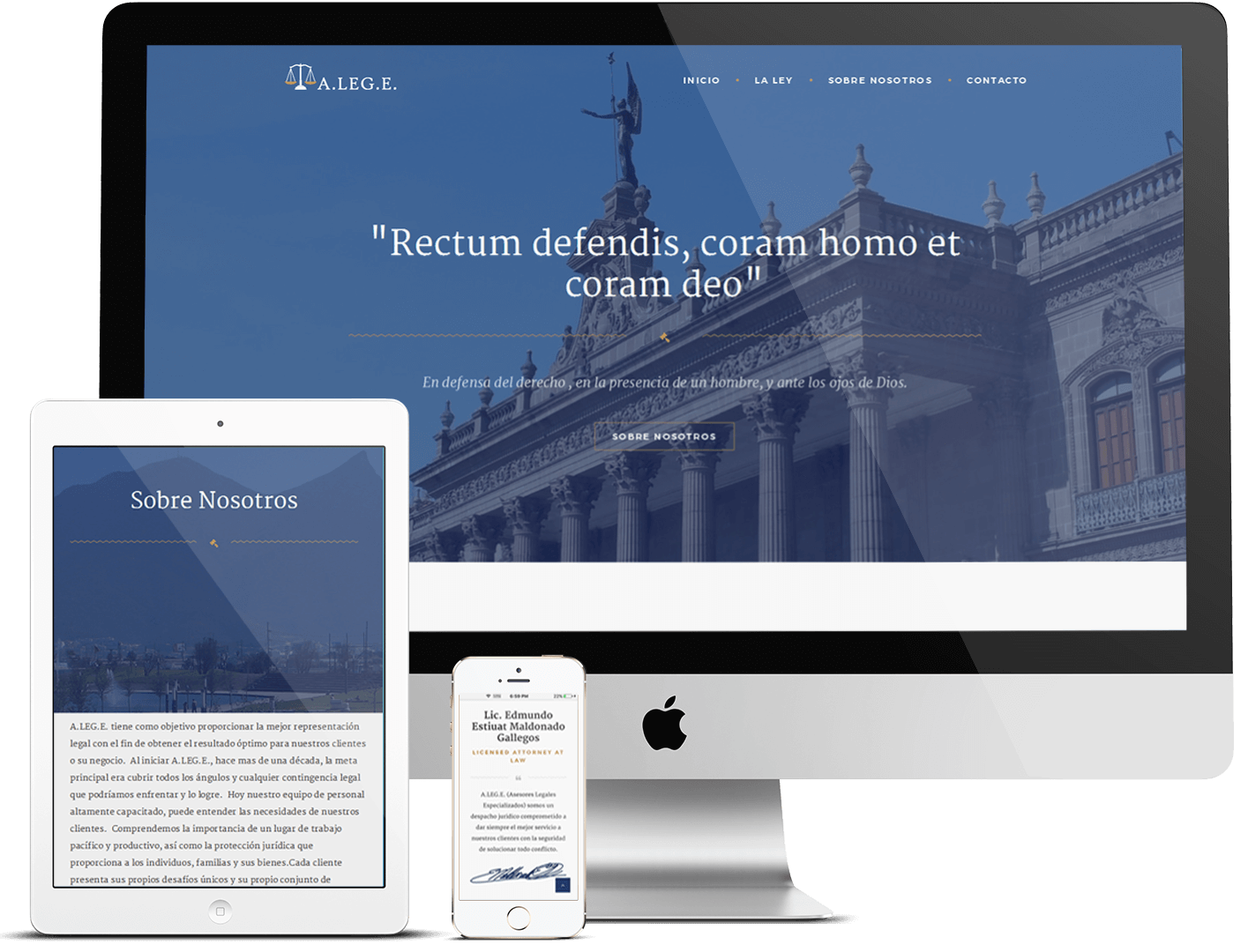 ALEGE - portfolio mockup